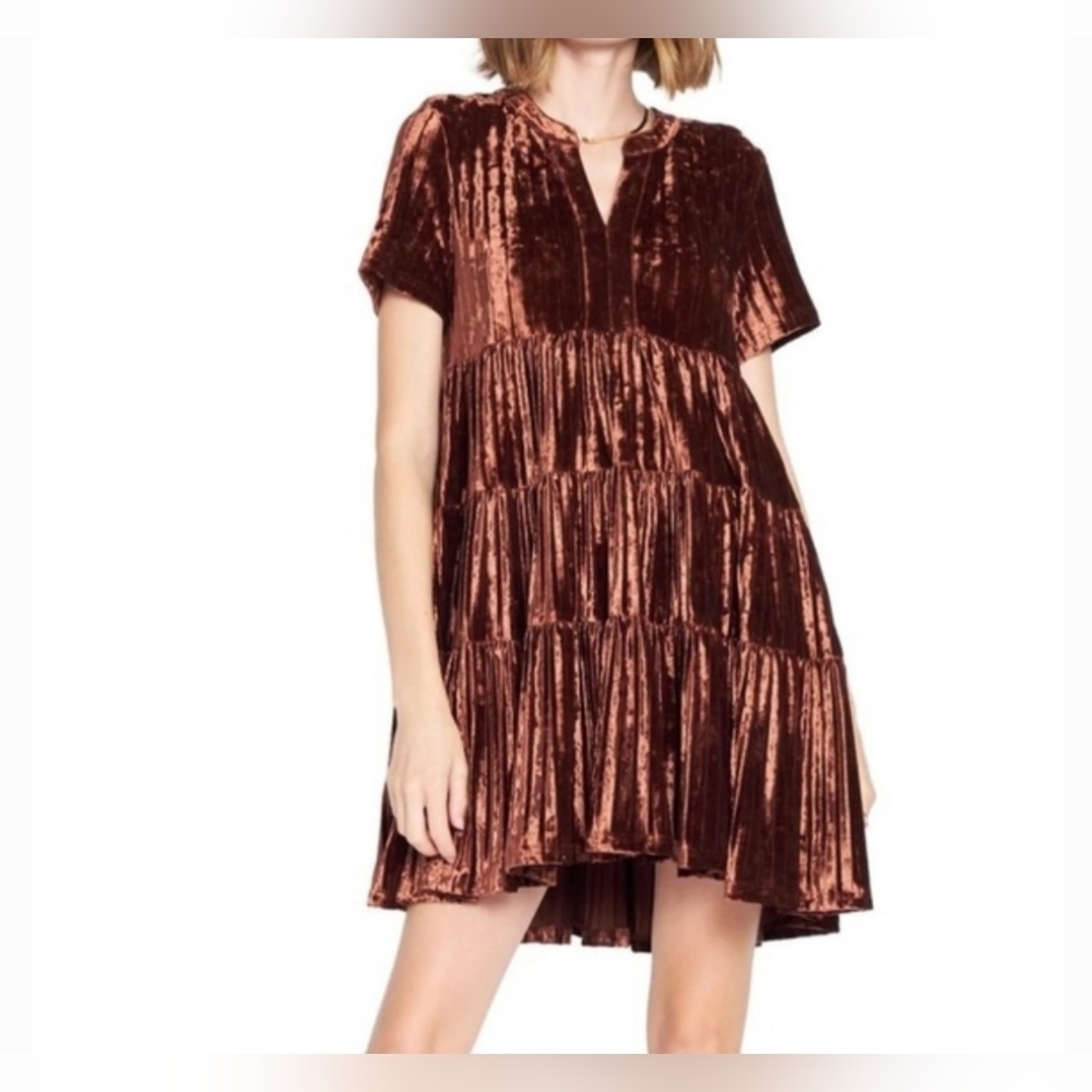 En Saison Crushed Velvet Womens Size M Babydoll Dress